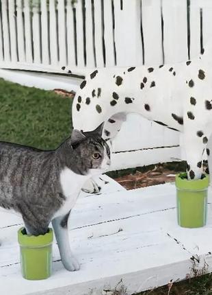 Лапомойка для животных маленькая ведерко для мытья лап