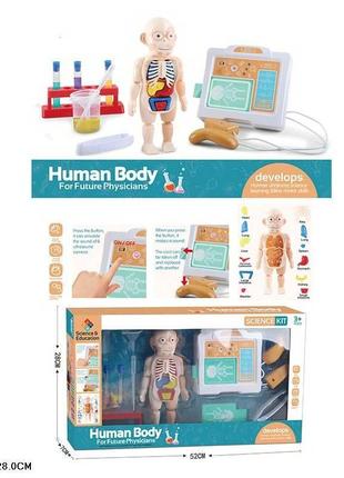 Гра "набір анатомії" h326a (24 шт.) вивчання внутрішніх органів людини, у коробці 52*7*28 см
