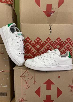 Чоловічі шкіряні кросівки adidas advantage f36424