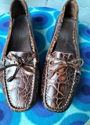 Мокасины santoni crocodile