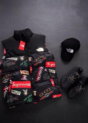 Жилетка в стиле the north face колаба vans, supreme, lacoste, yeezy, chanel, gucci и др.