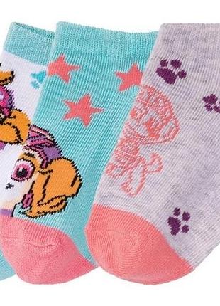 Набір коротких шкарпеток щенячий патруль nickelodeon 23-26