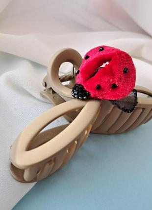 Краб со божью коровкой 🐞2 фото