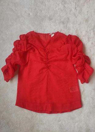 Красная блуза прозрачная с органзы органза кроп топ с длинными рукавами рюшами4 фото