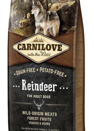 Сухий корм для дорослих собак carnilove reindeer 12 кг (оленина кабан )