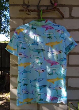 Рубашка літня акули3 фото