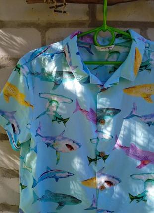 Рубашка літня акули4 фото