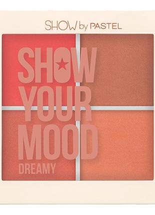 Набор румян для коррекции show your mood pastel dreamy, 17,2г