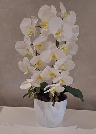 Удивительные орхидеи из латекса подарок