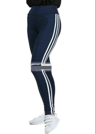 Лосини жіночі.