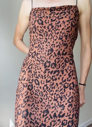 Сукня на бретельках new look леопардовий принт   xxl