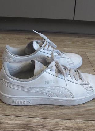 Кеди -puma- 39 розміру устілка 25,2 см