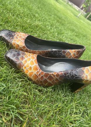 Оригінальні шкіряні туфлі італійського бренду в зміїний принт, зручні та ексклюзивні