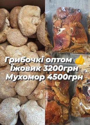 Мухомор та їжовик оптом