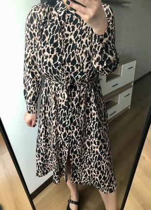 Леопардова сукня міді, плаття, анімалістичний принт, xl, l, в стилі h&m, тренд 2024