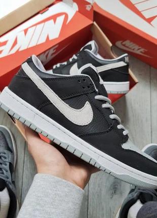 Nike dunk low sb pro