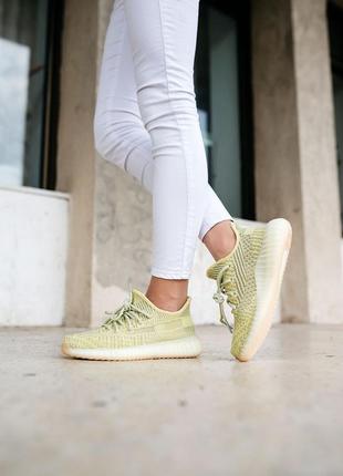 Жіночі кросівки adidas yeezy boost 350 v2 antlia адідас ізі буст