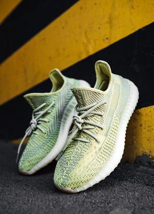 Жіночі кросівки adidas yeezy boost 350 v2 antlia адідас ізі буст