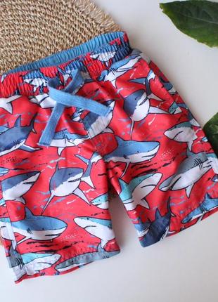 Яркие классные шорты у акулы mini club на малыша 12-18 мес