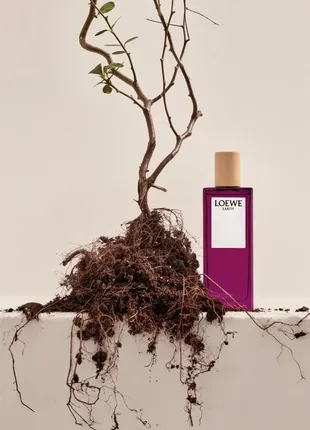 Парфуми унісекс loewe earth