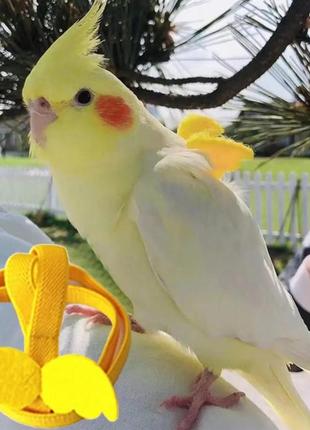 Шлея с поводком для попугаев "rori" желтая 200 см.