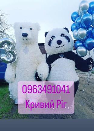 Белый мишка панда кривой рог