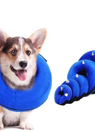 Комір нашийник для котів і собак "rally" blue size xs