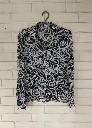 Блузка размер евро 36