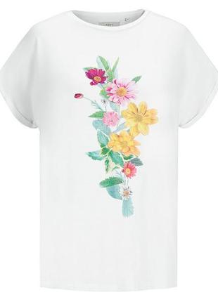 Стильна яскрава літня жіноча футболка бренда adpt
