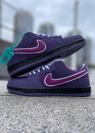 Nike sb dunk low purple lobster