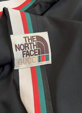 The north face gucci брюки.