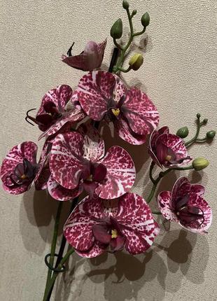 Орхидея искусственная шоколадка латекс композиция в горшке
