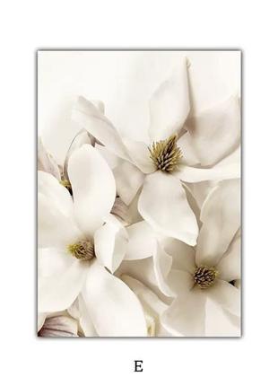 Постер квіти, скандинавська бежева квітка, мінімалістичний настінний