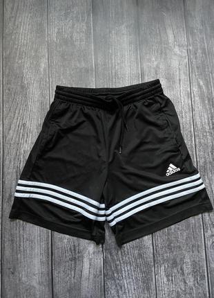 Шорти  adidas