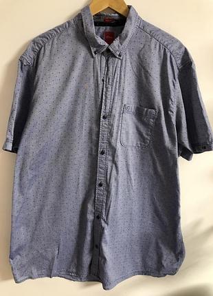 Нова сорочка ххl з коротким рукавом у горошок як tommy hilfiger