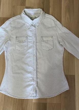 Рубашка, рубашка женская в горошек