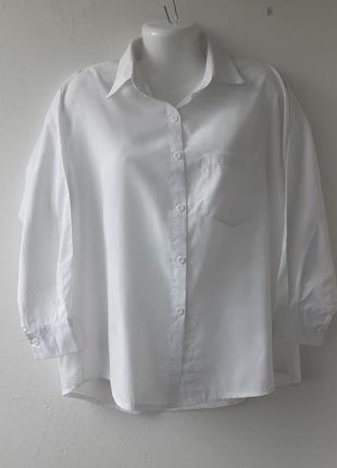 Белая базовая рубашка b.p.c. selection m 44-46