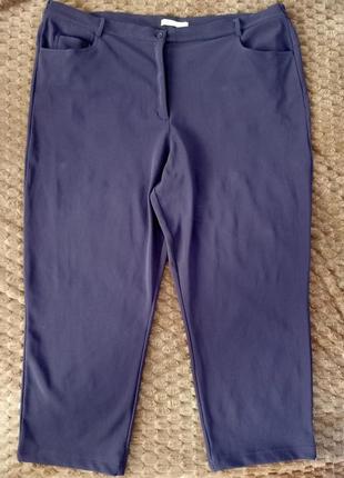 Женские брюки брюки брючины батального размера