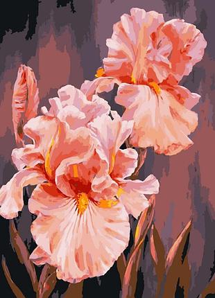 Картина по номерам "розовые ирисы" art craft 13140-ac 40х50 см от egorka