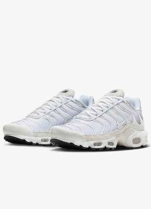 Nike air max plus