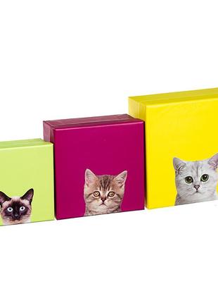 Набір коробок «котячий дім»