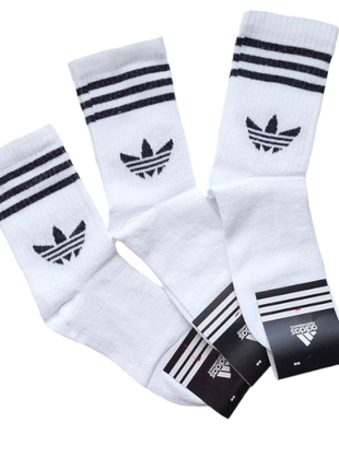 Набір 6 пар білі жіночі високі білі шкарпетки "adidas" адіддас теніс, 36-40р, демісезонні