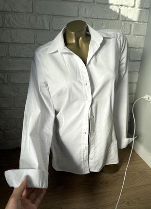 Классическая базовая белая рубашка рубашка офисная