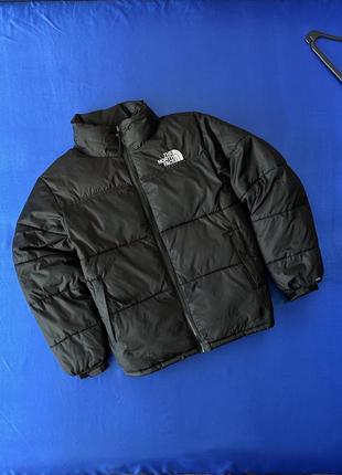 Рідкісний пуховик the north face 700 пухан мікропуховик жилетка gore-tex куртка