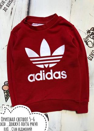 Adidas свитшот 5-6 лет