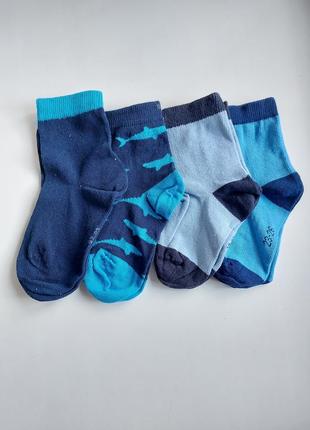 Комплект брендові шкарпетки