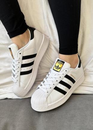 Крутые женские и мужские кроссовки adidas superstar white белые