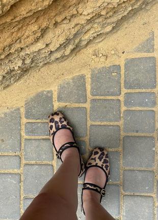 Леопардовые туфли зара