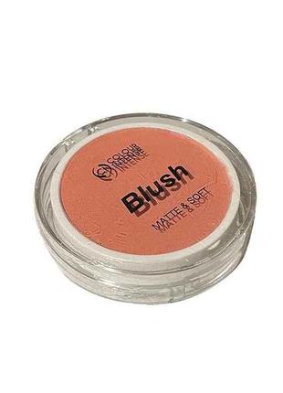 Румяна 12г для обличчя blush 03 персиковий тм сolour intense