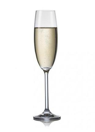 Набор бокалов для шампанского bohemia maxima 40445-220 220 мл 6 шт